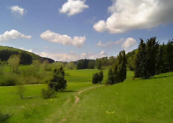 Haus Wacholderheide Appartement *